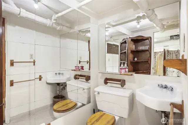 Lower Level Bathroom