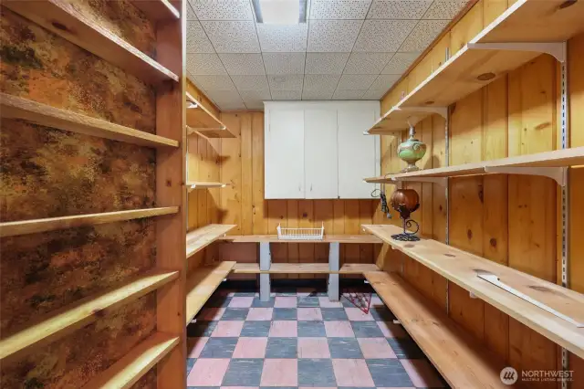 Huge Pantry closet on lower level.