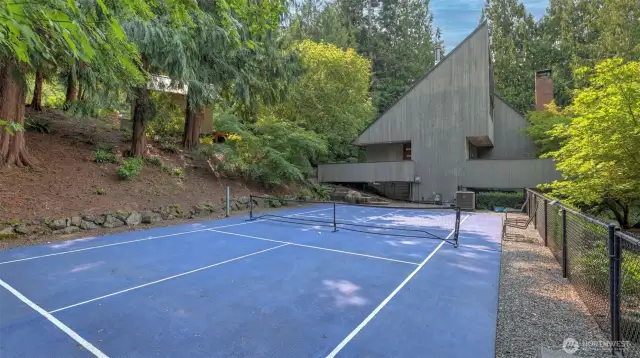 Private pickleball court for endless outdoor fun.