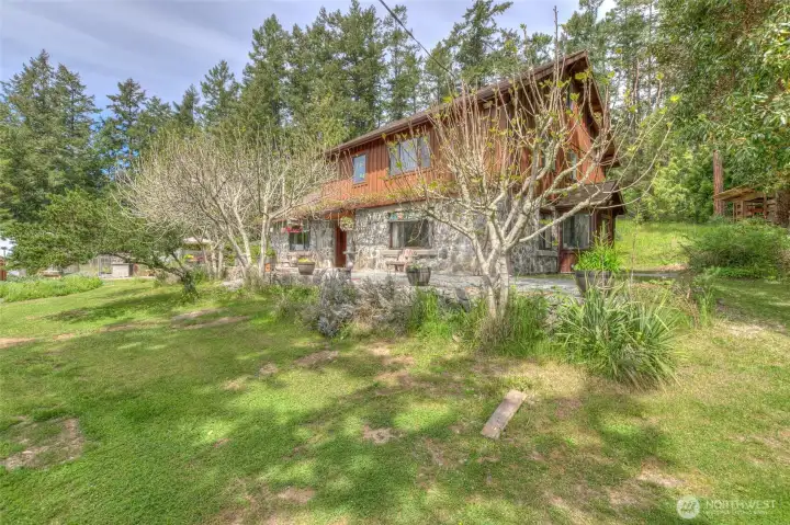 Mature Fir trees off the main house patio produce an amazing crop.