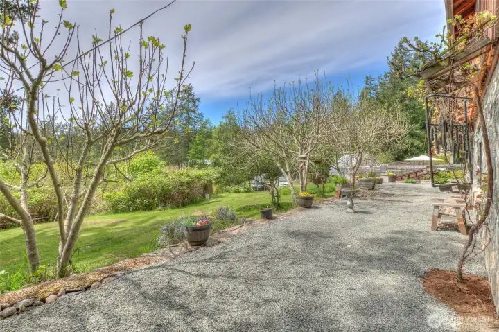 Rock patio area is at the entrance to the main home.  Grape vines can be seen on the terrace to the right and will be in full bloom shortly.