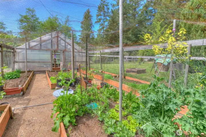 Lush garden space and greenhouse will keep you stocked up all year.