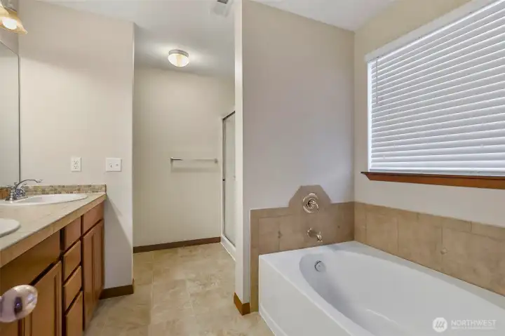 Large Soaking tub and very large shower