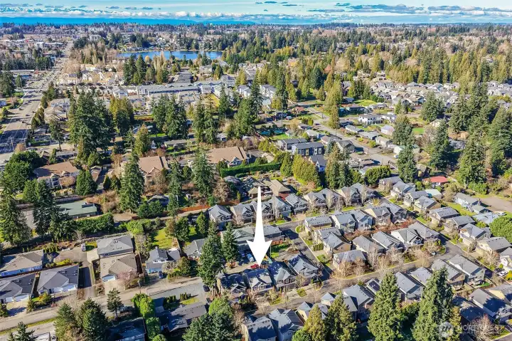 Serrano is a planned detached condo community just behind Mill Creek Town Center