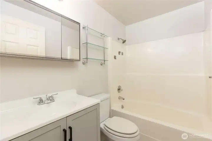 Updated Guest Full bathroom