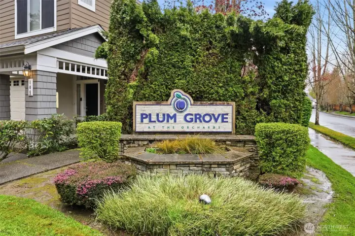 Plum Grove