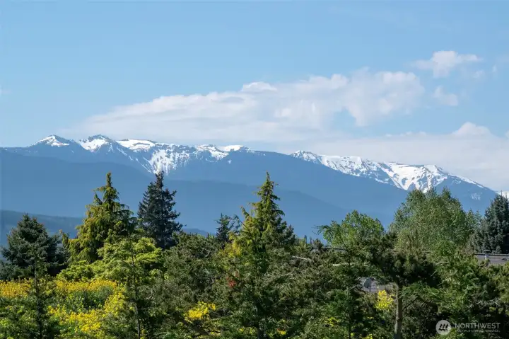 Spectacular Views
