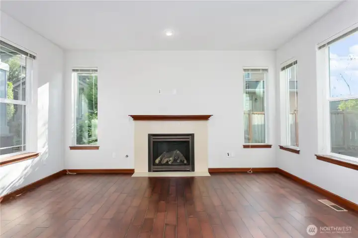 Gas fireplace