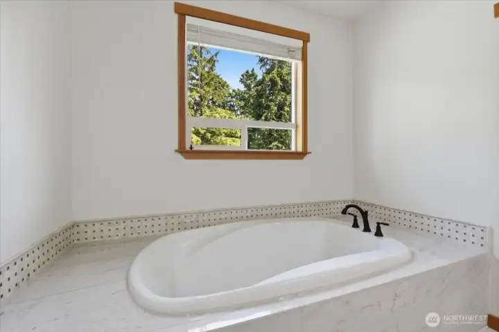Primary Bath Tub