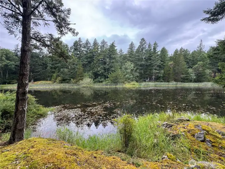 This unique location sits at the edge of a large pond "Jay's Pond" surrounded by native vegetation.This is taken from Spring Point Road looking across the pond towards the house tucked up in the forest. This unique location sits at the edge of a large pond "Jay's Pond" surrounded by native vegetation.This is taken from Spring Point Road looking across the pond towards the house tucked up in the forest.