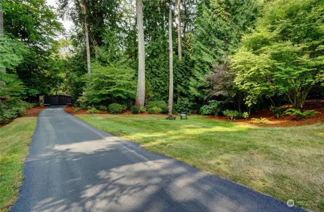 Long driveway with firepit