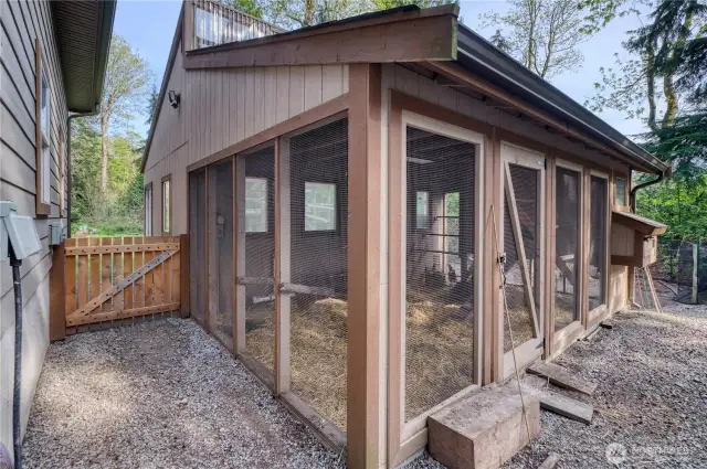 Fully enclosed chicken coop in the backyard.
