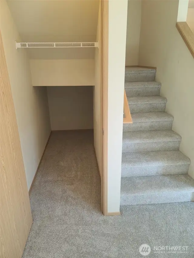 New Carpet