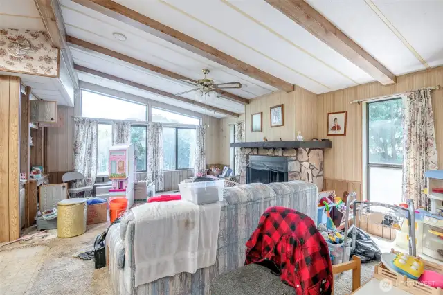 Living room with fireplace