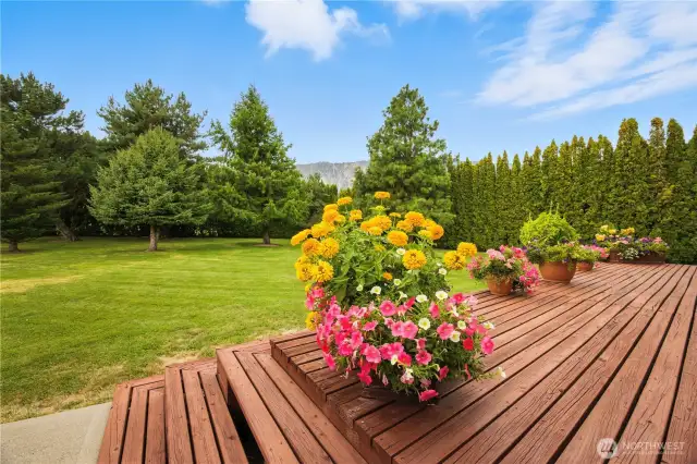 Your very own secluded park, it is amazing how peaceful this back yard is and how much pleasure one could have in their very own private resort!  Think swimming pool!