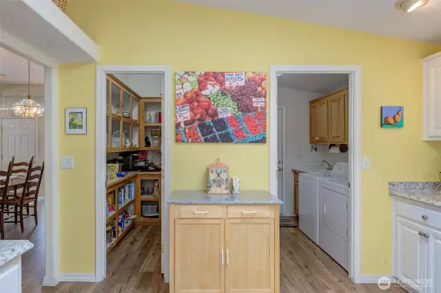 5-Star Pantry on the left, Laundry Room with sink and broom closet on the right!