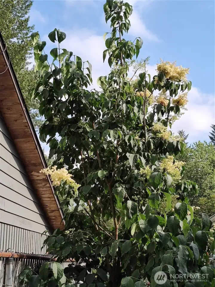 Photos from the spring and summer