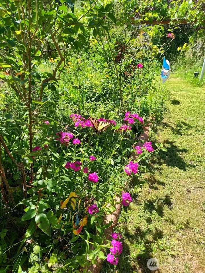 Seasonal flowers that attract birds and bees