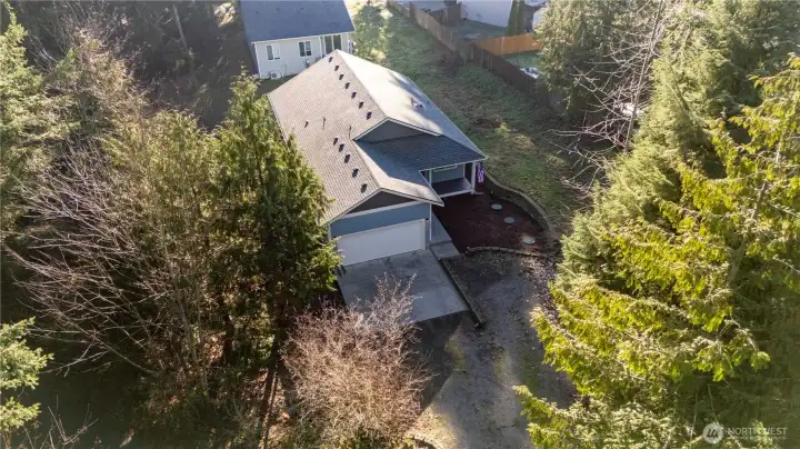 surrounded by Evergreens