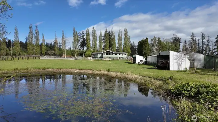 Lovely Pond