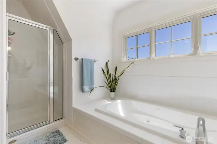 Guest 5-piece bathroom.