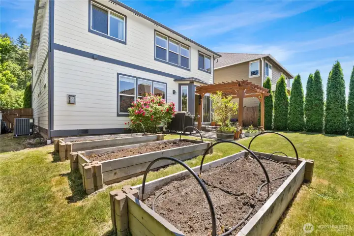Garden Beds.