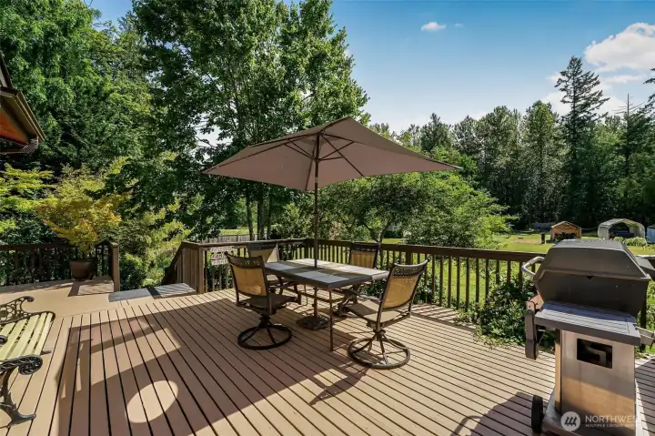 Another view from the deck.