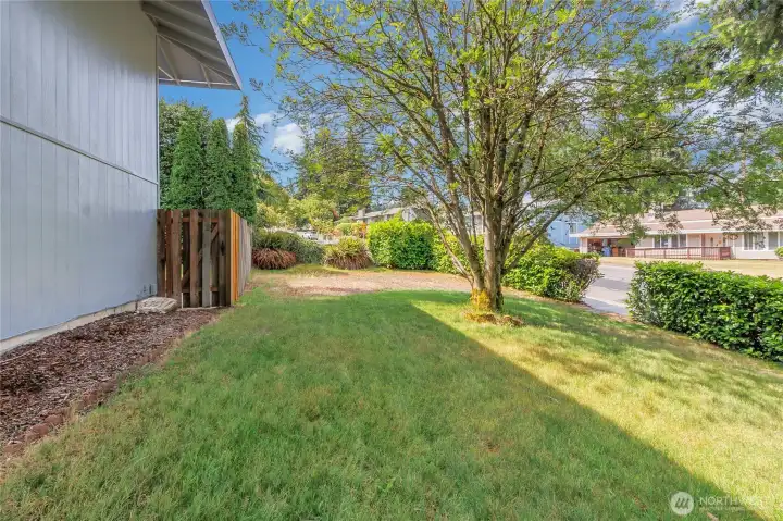 Large side yard
