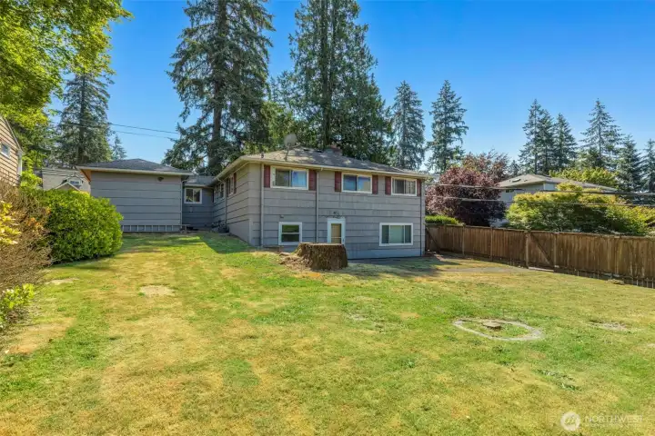 This backyard is huge! This backyard is huge!