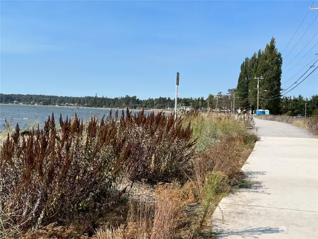 Birch bay boardwalk across the road from complex