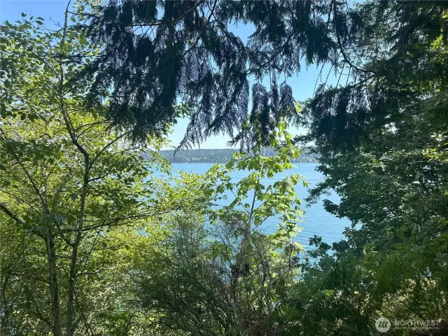 The view of Hood Canal can be opened up!