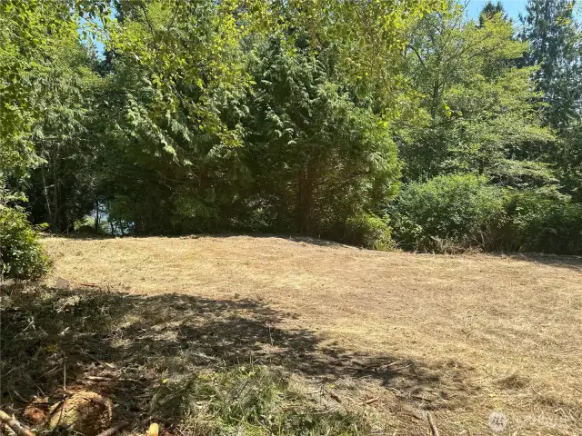 Cleared level site for your RV or yurt. Potential to open up the view.