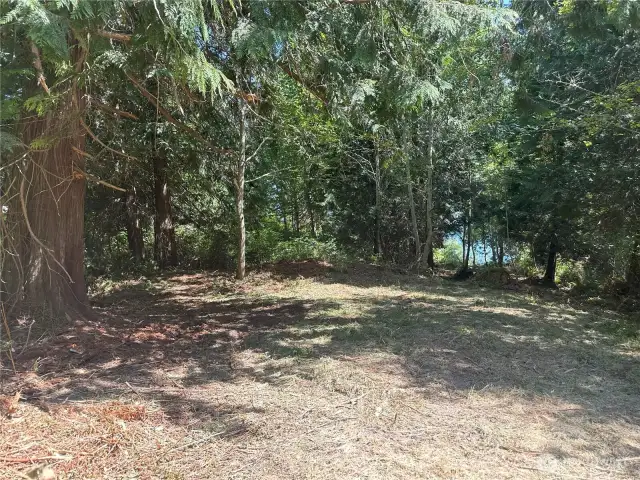 Cleared area with water view.