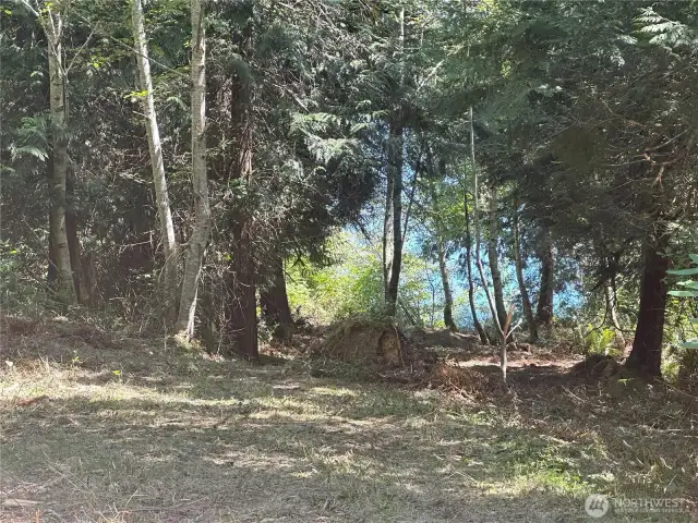 The closer you get to the bluff the better the view!
