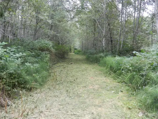 Driveway to property.