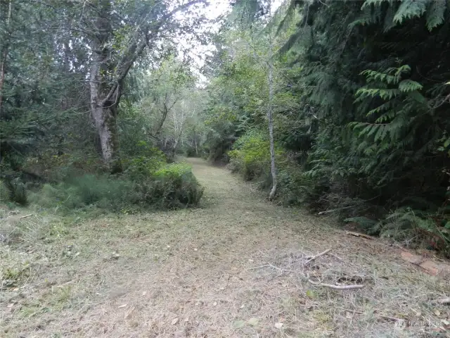 Driveway looking up the driveway from cabin.