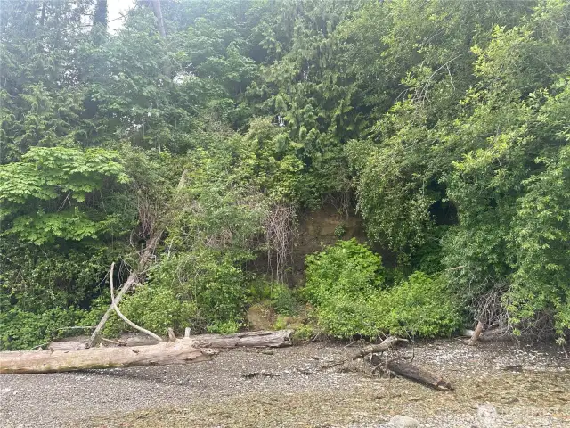 High-bank waterfront with shared trail to beach.