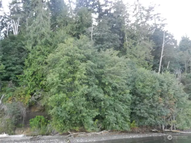 Beach at average high-tide. Potential for trail to beach down canyon to the south.
