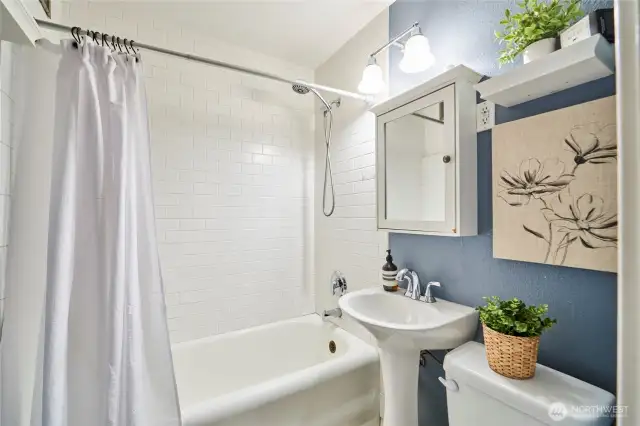 Updated full bathroom with designer paint colors.