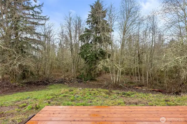 New back deck overlooks the private acreage