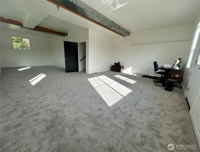 Lower level with brand new carpet and large laundry room