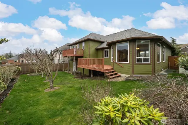 Looking from the east to the west  with the fruit trees. There is also a garden storage shed to the far right.