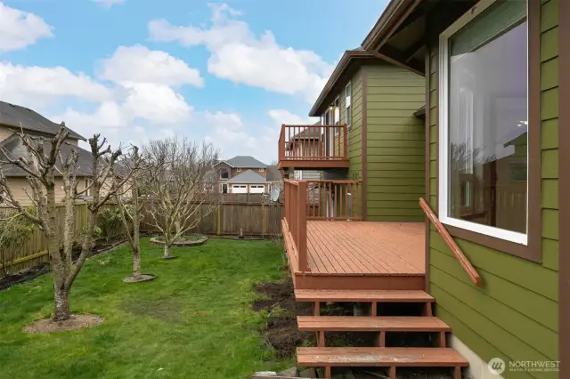 Looking back toward the SW corner of the rear yard.