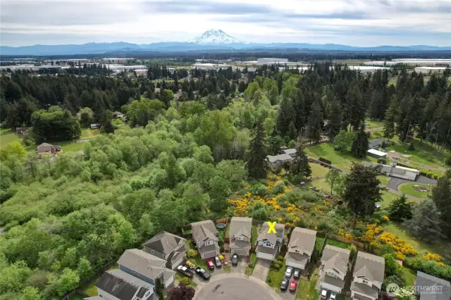 Lots of green privacy behind the homes here. Look at Mt Rainier waaay out there!