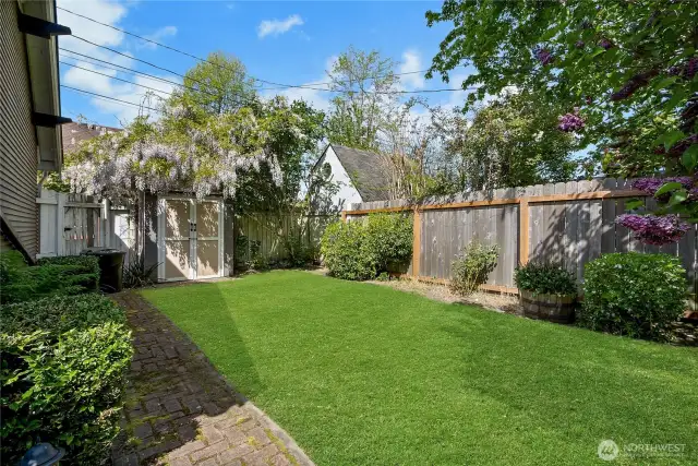 Backyard shed and side yard.