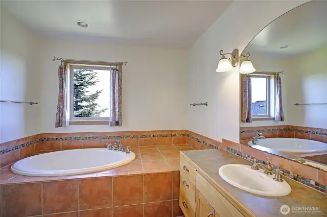 Lower Guest Suite Bathroom