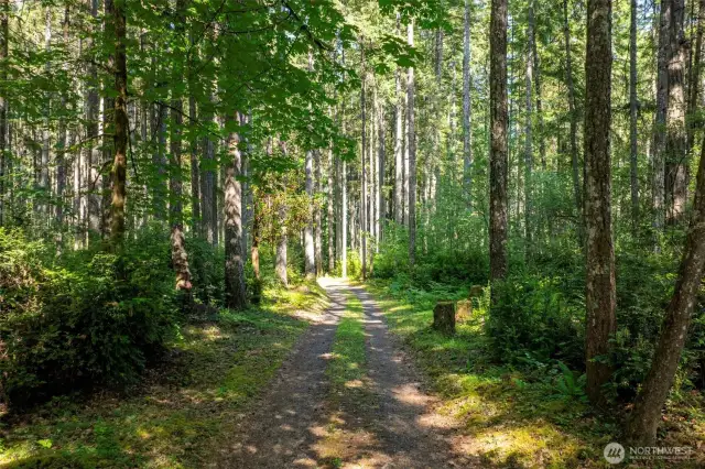 Peace & Privacy as you meander through acres of Forest to your private retreat!