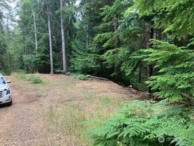 (2of4)1st cleared level area you drive up on when entering