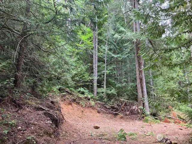 3rd cleared area