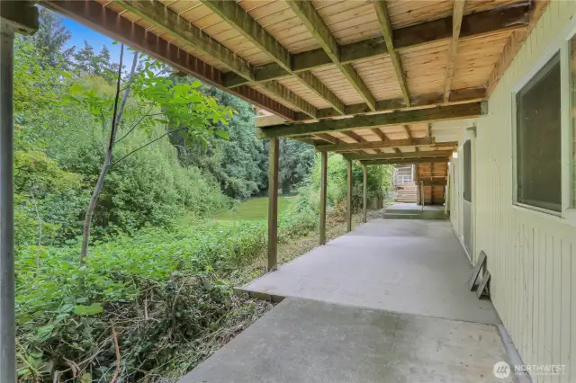 Lower Patio